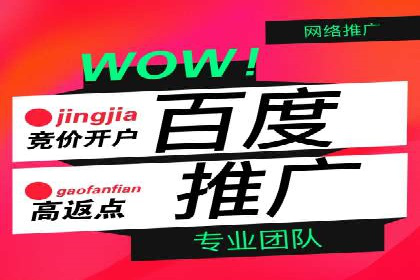 成功企业SEM竞价代运营案例研究